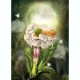 CAROL CAVALARIS COLLECTION Moonflower Dreams